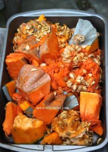 Pumpkin Power Image
